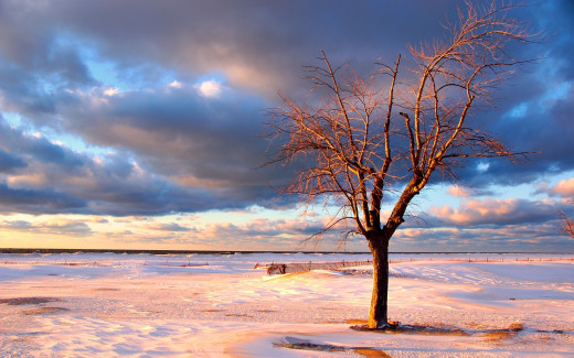 523706 (a): :2560x1600